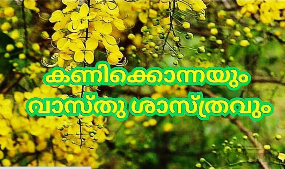 കണിക്കൊന്നയും വാസ്‌തു ശാസ്ത്രവും