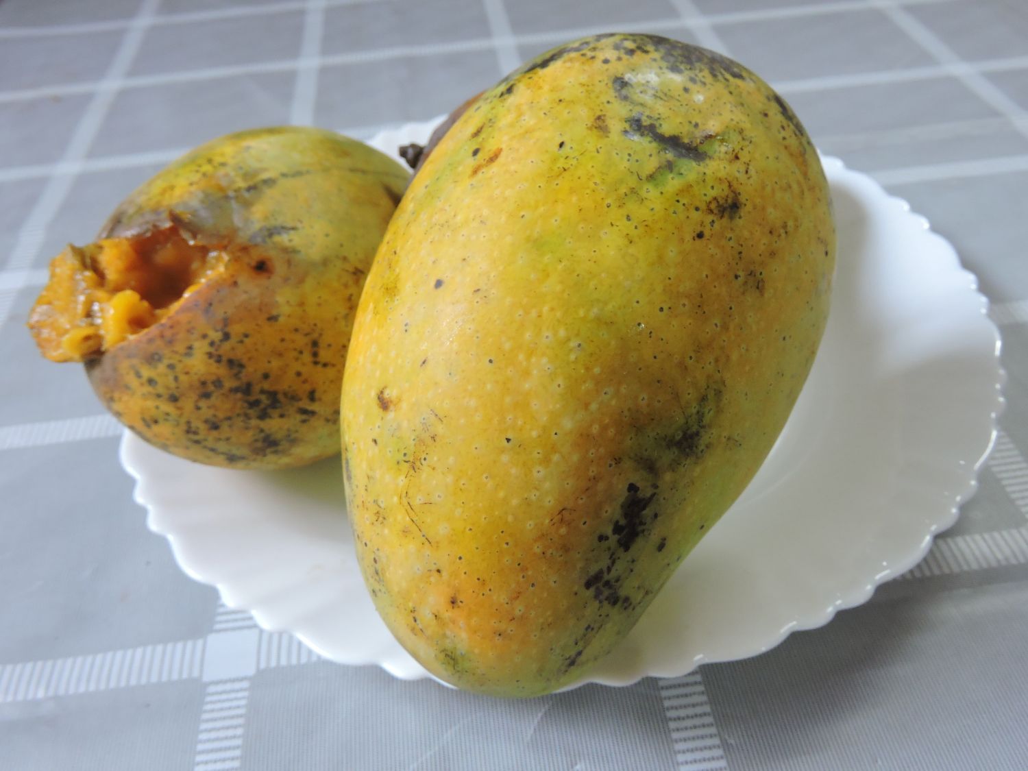 carbide-mango-(4)-(1)