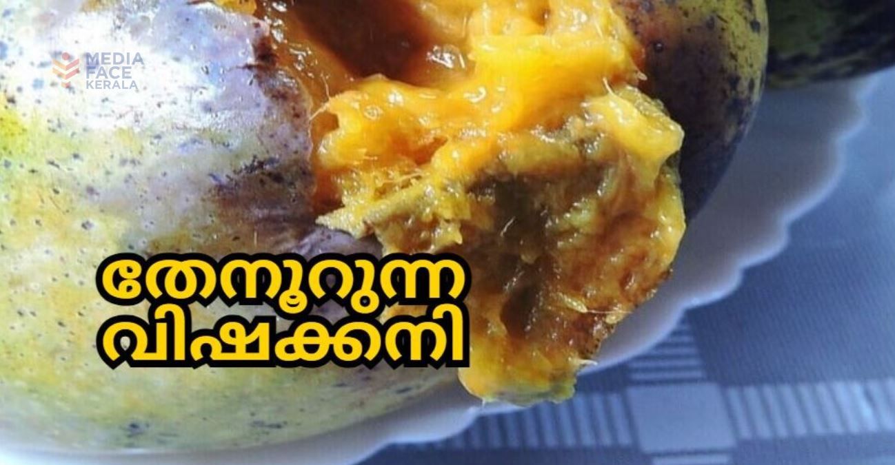 തേനൂറുന്ന മാമ്പഴമല്ല ;ഇത് വിഷം ഊറിവരുന്ന മാമ്പഴം: ദിവാകരൻ ചോമ്പാല