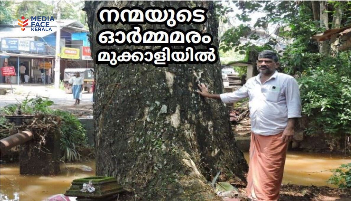 നന്മയുടെ ഓർമ്മമരം മുക്കാളിയിൽ തലമുറകൾക്ക് കുഞ്ഞിരാമേട്ടൻറെ ഓർമ്മത്തണൽ : ദിവാകരൻ ചോമ്പാല