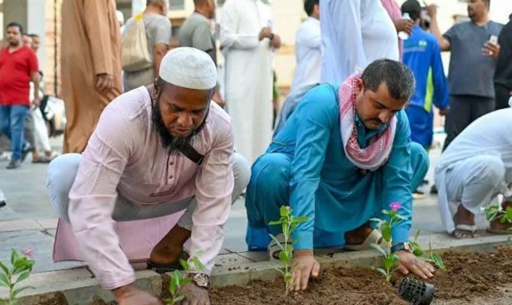 പ്രവാചകന്റെ മസ്ജിദിനു സമീപം ഹാജിമാർ 300 മരങ്ങള്‍ നട്ടുപിടിപ്പിച്ചു