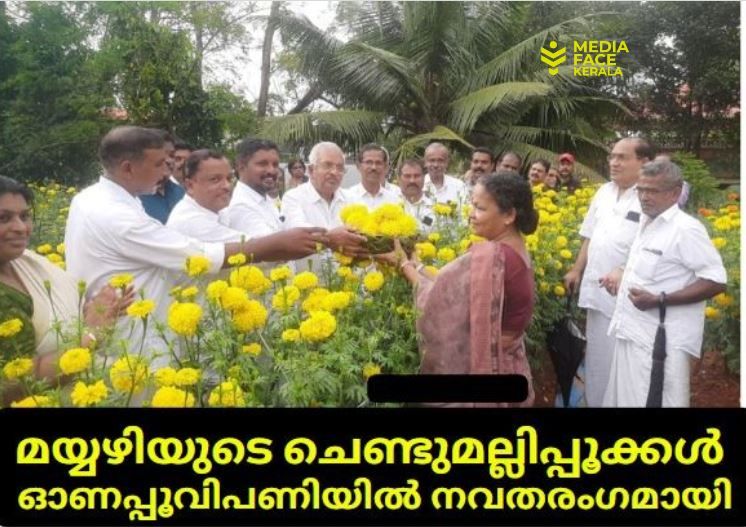 മയ്യഴിയുടെ ചെണ്ടുമല്ലിപ്പൂക്കൾ ഓണപ്പൂവിപണിയിൽ നവതരംഗമായി