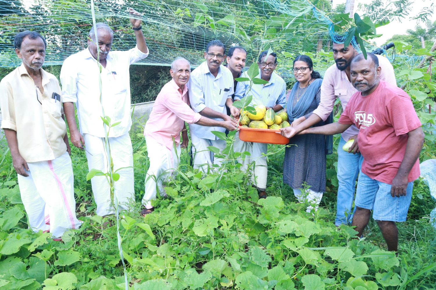 സംയോജിത കൃഷി വിളവെടുപ്പ് നടത്തി