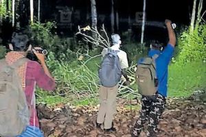 നാട്ടുകാരും വനപാലകരും കൈകോർത്തു; കാട്ടാനക്കൂട്ടത്തെ തുരത്തി