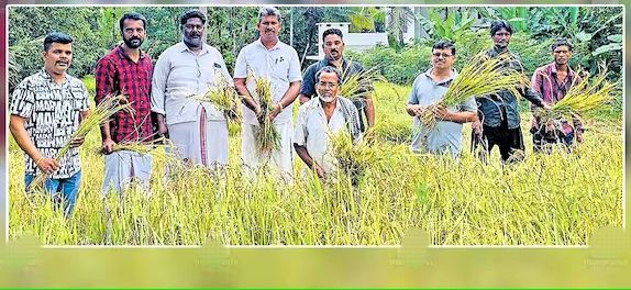 77–ാം വയസ്സിൽ നൂറുമേനി ‌വിളയിച്ച് മാമുക്കോയ‌