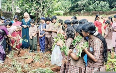 ശലഭോദ്യാനം ഒരുക്കി ചേടിച്ചേരി ദേശമിത്രം വിദ്യാർഥികൾ