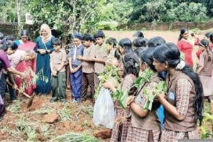 ശലഭോദ്യാനം ഒരുക്കി ചേടിച്ചേരി ദേശമിത്രം വിദ്യാർഥികൾ