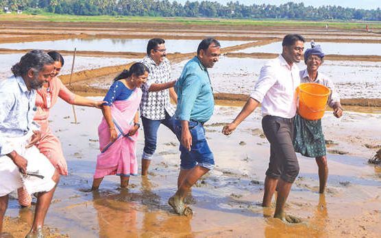 മണ്ണിലിറങ്ങി, കൃഷിപാഠം പഠിച്ച് കളക്ടർ