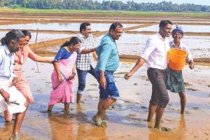 മണ്ണിലിറങ്ങി, കൃഷിപാഠം പഠിച്ച് കളക്ടർ