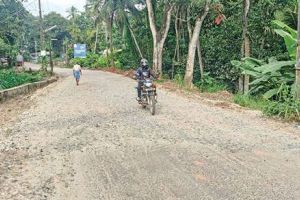 തേമ്പാമുട്ടം-റസൽപുരം റോഡ് നവീകരണം ആരംഭിച്ചു