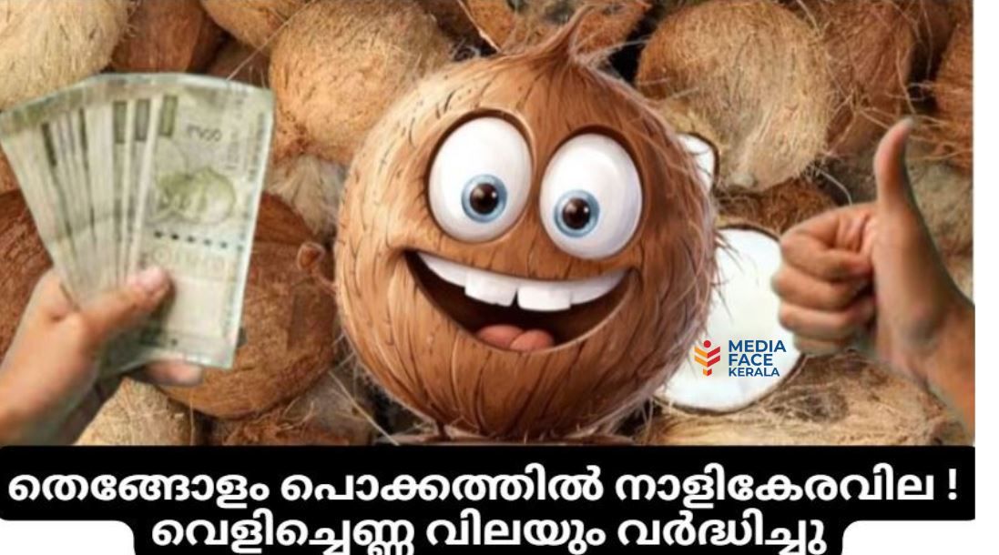 തെങ്ങോളം പൊക്കത്തിൽ നാളികേരവില ! വെളിച്ചെണ്ണ വിലയും വർദ്ധിച്ചു