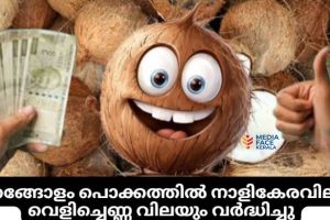 തെങ്ങോളം പൊക്കത്തിൽ നാളികേരവില ! വെളിച്ചെണ്ണ വിലയും വർദ്ധിച്ചു