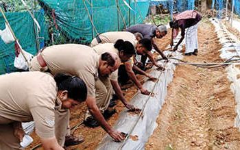 പോലീസ്‌സ്റ്റേഷൻ വളപ്പിലെ കൃഷിപാഠശാലയിൽ രണ്ടാംഘട്ടം വിത്തിറക്കി