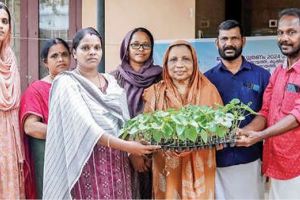 സമ്പൂർണ പച്ചക്കറിസമൃദ്ധ പഞ്ചായത്താകാൻ എടപ്പാൾ