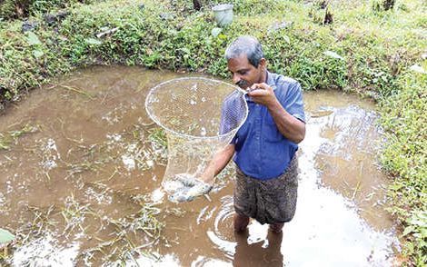 ഇത് ഗോത്രവർഗ കർഷകന്റെ സമ്മിശ്രകൃഷിലോകം…