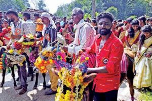 കബനിക്കരയിൽ വേടഗൗഡരുടെ മൂരിയബ്ബ ആഘോഷം