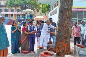 സ്‌കൂൾ മുറ്റത്തെ പ്ലാവിന് ആയുർദൈർഘ്യത്തിന്സുഖചികിത്സ