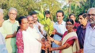 5000 കണ്ടൽച്ചെടികൾ വെച്ചുപിടിപ്പിക്കും