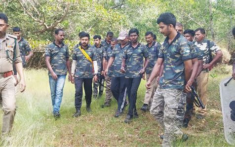 വനാതിർത്തിയിൽ ചുറ്റിപ്പറ്റി പുലി; ഉൾക്കാട്ടിലേക്ക് ഓടിക്കാൻ വനപാലകർ; ദൗത്യം തുടങ്ങി