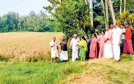 പത്ത് ഹെക്ടറോളംകൃഷി നശിച്ചു