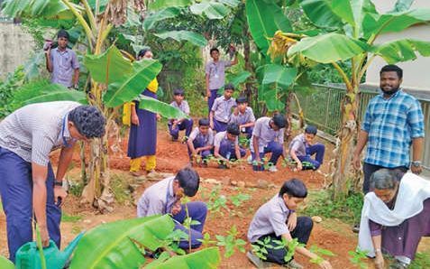 സ്കൂൾ പറമ്പിലെ തരിശിടം കൃഷിയിടമാക്കി കുട്ടികൾ