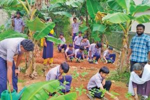 സ്കൂൾ പറമ്പിലെ തരിശിടം കൃഷിയിടമാക്കി കുട്ടികൾ