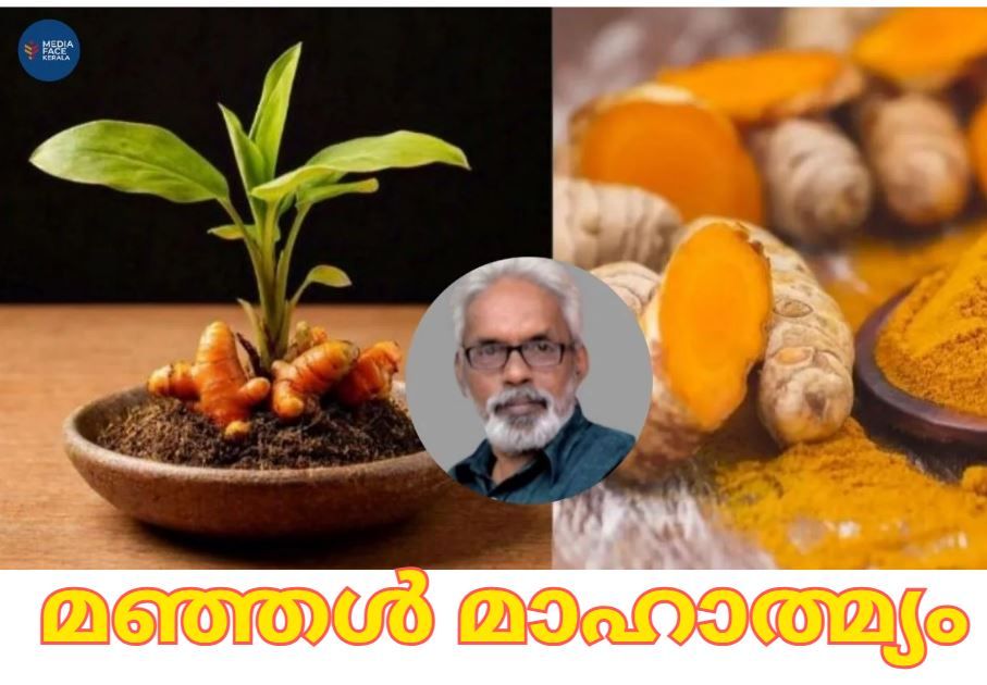 മഞ്ഞൾ മാഹാത്മ്യം : ടി .ശ്രീനിവാസൻ