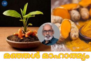 മഞ്ഞൾ മാഹാത്മ്യം : ടി .ശ്രീനിവാസൻ