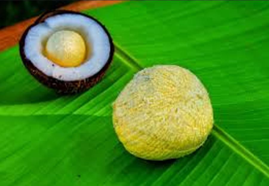 coconu-banana-leaf