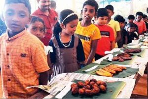 കൊതിയൂറും വിഭവങ്ങളൊരുക്കി കാരച്ചാൽ സ്കൂളിൽ പലഹാരമേള