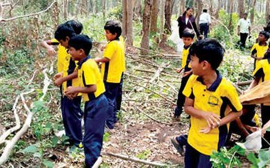 ആവേശത്തോടെ അവർ എറിഞ്ഞു; നാളേക്കായി വിത്തുബോളുകൾ