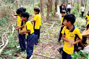 ആവേശത്തോടെ അവർ എറിഞ്ഞു; നാളേക്കായി വിത്തുബോളുകൾ