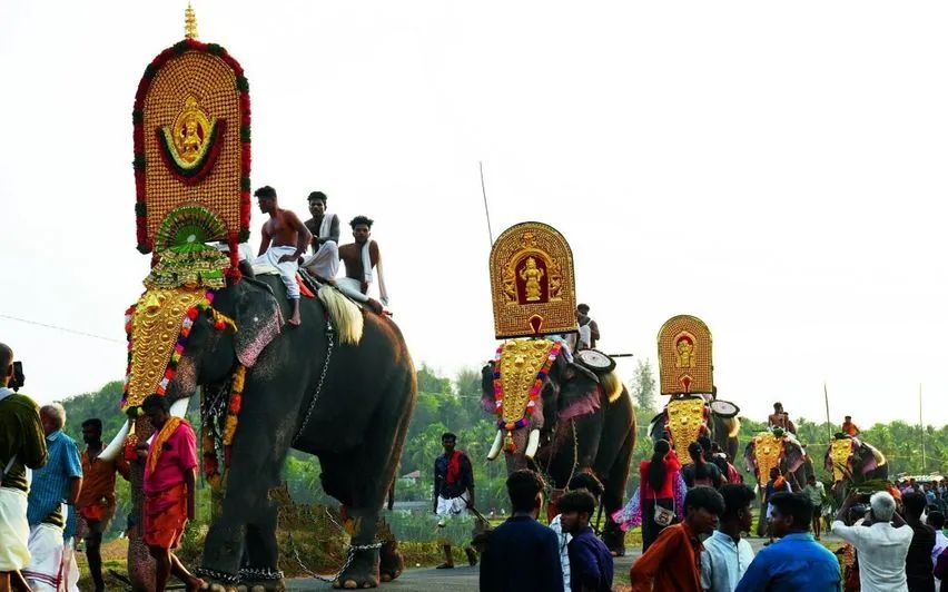 ആന എഴുന്നള്ളിപ്പിനുള്ള നിയന്ത്രണം: ഹൈക്കോടതി ഉത്തരവിന് സ്‌റ്റേ, സുപ്രീം കോടതിയുടെ രൂക്ഷവിമര്‍ശനം