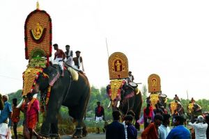 ആന എഴുന്നള്ളിപ്പിനുള്ള നിയന്ത്രണം: ഹൈക്കോടതി ഉത്തരവിന് സ്‌റ്റേ, സുപ്രീം കോടതിയുടെ രൂക്ഷവിമര്‍ശനം