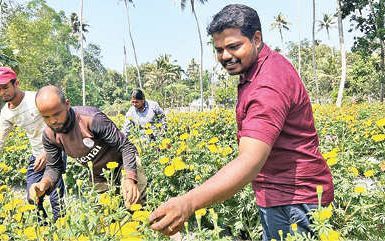 പുഷ്‌പോത്സവമൊരുക്കി കാർഷികക്കൂട്ടായ്മ