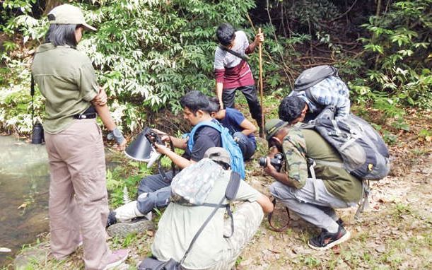 റാണിപുരത്ത് ചിലന്തിസർവേ സമാപിച്ചു ചാട്ടക്കാരൻ ചിലന്തിയടക്കം 111 ഇനങ്ങളെ കണ്ടെത്തി