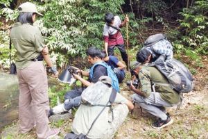 റാണിപുരത്ത് ചിലന്തിസർവേ സമാപിച്ചു ചാട്ടക്കാരൻ ചിലന്തിയടക്കം 111 ഇനങ്ങളെ കണ്ടെത്തി