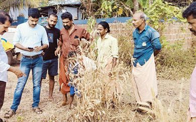 ചതുരംഗക്കളത്തിൽ ഉയരങ്ങൾ താണ്ടാനൊരുങ്ങി മാധവ്