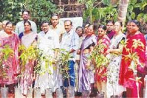 സമ്പൂർണ മാമ്പഴ ഗ്രാമമാകാൻ പായം