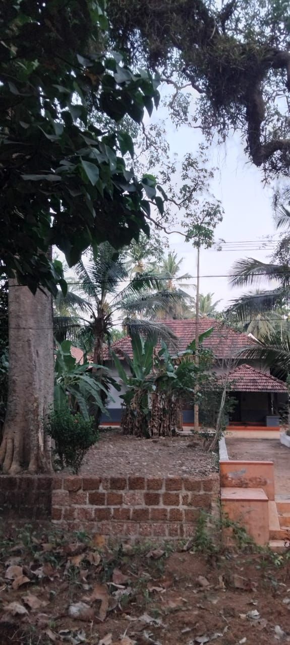 palamaram