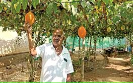 'സ്വർഗത്തിലെ കനി' സെബാസ്റ്റ്യന്റെ വീട്ടിലുണ്ട്