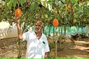 'സ്വർഗത്തിലെ കനി' സെബാസ്റ്റ്യന്റെ വീട്ടിലുണ്ട്