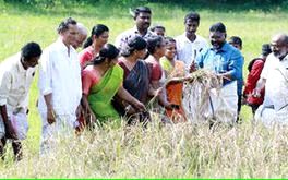 സമൃദ്ധി വിളയിച്ച് കുട്ടികൾ