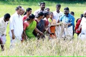 സമൃദ്ധി വിളയിച്ച് കുട്ടികൾ