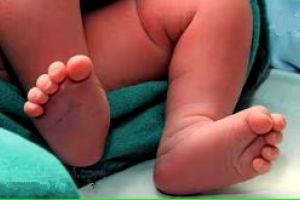 ഏഴുവർഷം: ജനനനിരക്ക് കുറഞ്ഞത് 34 ശതമാനം