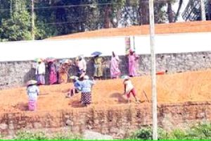 സയൻസ് സിറ്റിയിൽ ഒരുങ്ങുന്നു, ജൈവവൈവിധ്യ പാർക്ക്