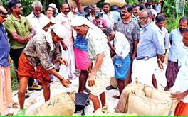 മില്ലുകാർക്ക് താക്കീത്: കൃഷിവകുപ്പ് നേരിട്ട് നെല്ലെടുത്തുതുടങ്ങി