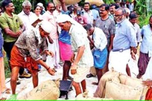 മില്ലുകാർക്ക് താക്കീത്: കൃഷിവകുപ്പ് നേരിട്ട് നെല്ലെടുത്തുതുടങ്ങി