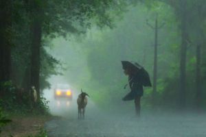 11 ജില്ലകളിൽ തിങ്കളാഴ്ച റെഡ് അലേർട്ട്; അതിതീവ്ര മഴയ്ക്ക് സാധ്യതയെന്ന് കാലാവസ്ഥാവകുപ്പ്
