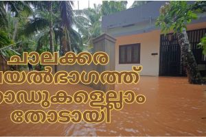 ചാലക്കര വയൽഭാഗത്ത് റോഡുകളെല്ലാം തോടായി